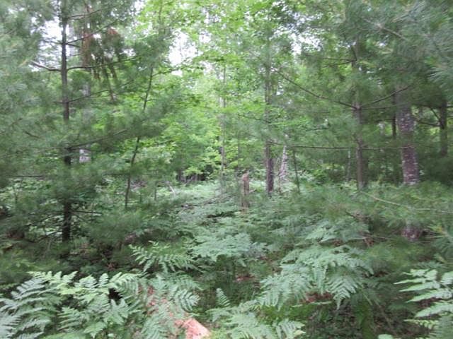 2nd image of ON Black Lake Rd