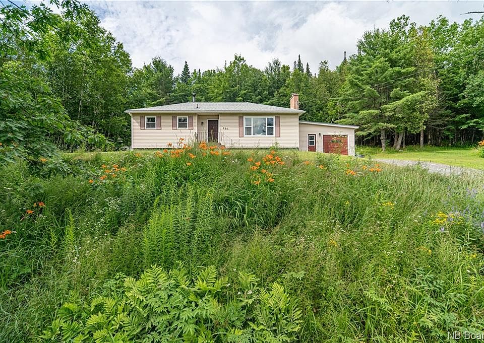 Sobeys Fredericton Flowers Best Flower Site