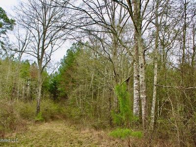 0 Sauls Rd, Ruth, MS, 39662