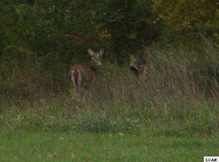 1007 Saw Mill Ct, Adrian, MI 49221