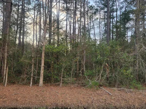 Tract 8 Fennell Town Road, Rocky Point, NC 28457