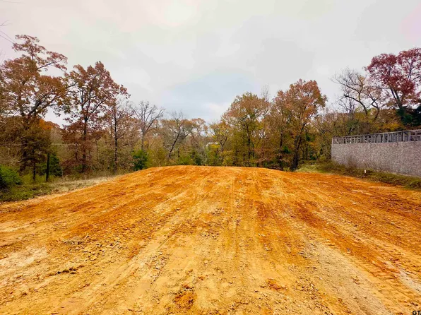 110 Elmwood Ct, Palestine, TX 75801