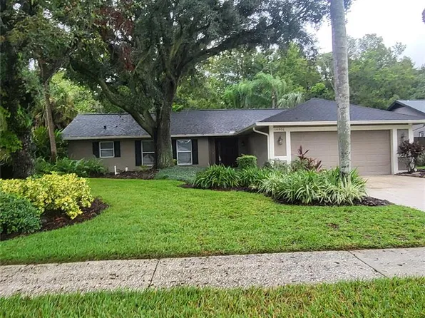 14906 Winterwind Dr, Tampa, FL 33624