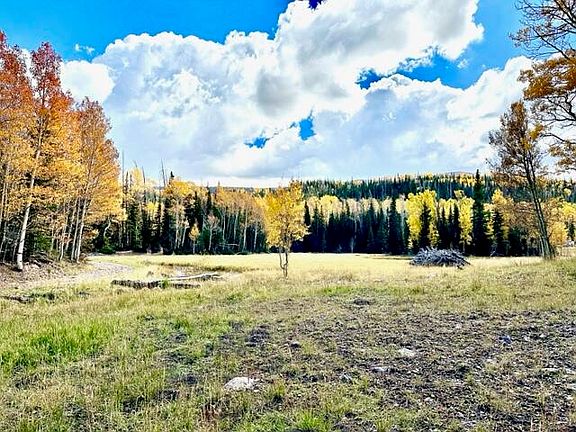 5th image of 411 N Arrowleaf Dr Lot 44-A