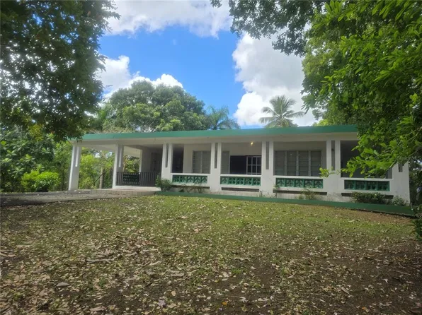 167R Sector Segundo Sanchez, Bayamon, PR 00956