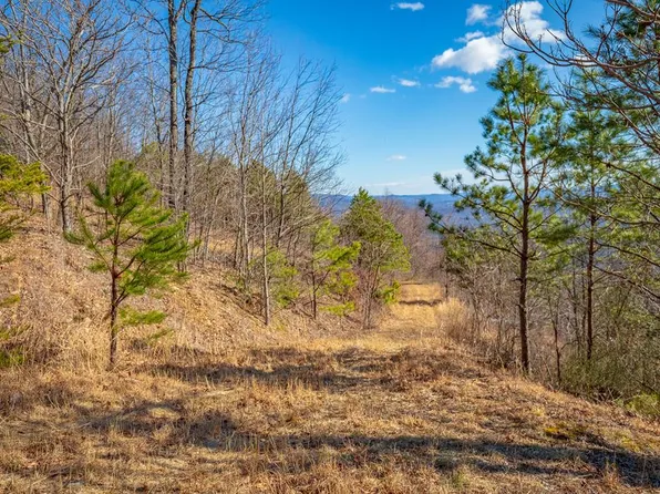 98 Spring Pond Trl, Fancy Gap, VA 24328