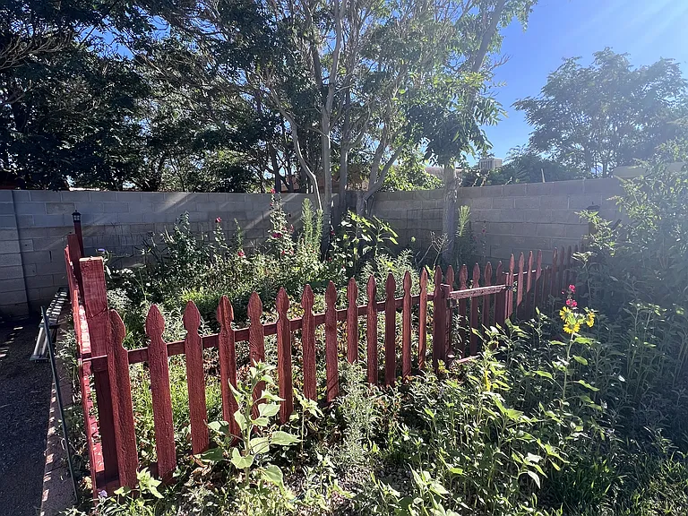 Garden Area