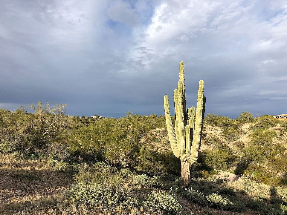 1st image of 12832 N Vista Del Oro