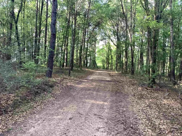 0 Wc Marshall Ln, Andalusia, AL 36421