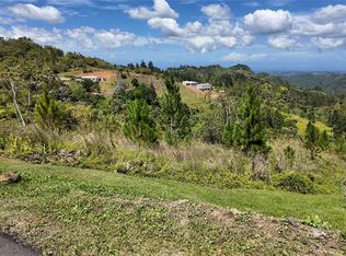 Carr 155 Km 33.1 Int Bo Gato, Orocovis, PR 00720