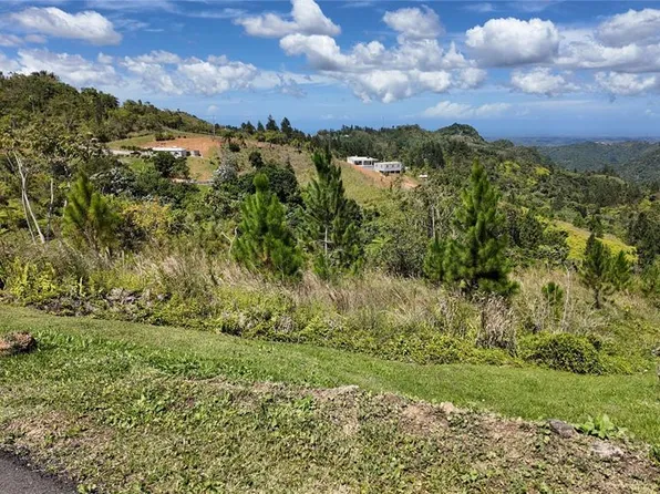 Carr 155 Km 33.1 Int Bo Gato, Orocovis, PR 00720