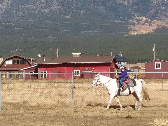 Riding in the arena 