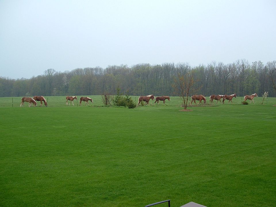 View of the back