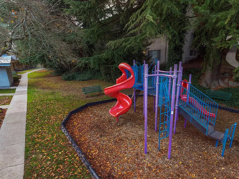 Park Hill — Photo 6