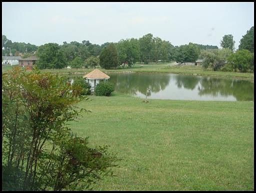 Beautiful pond on 4 acres
