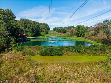 Property photo 39