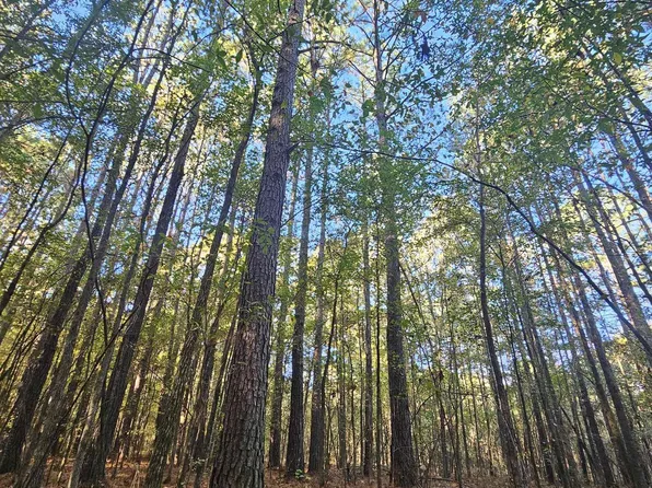 9 County Road 6, Piedmont, AL 36272