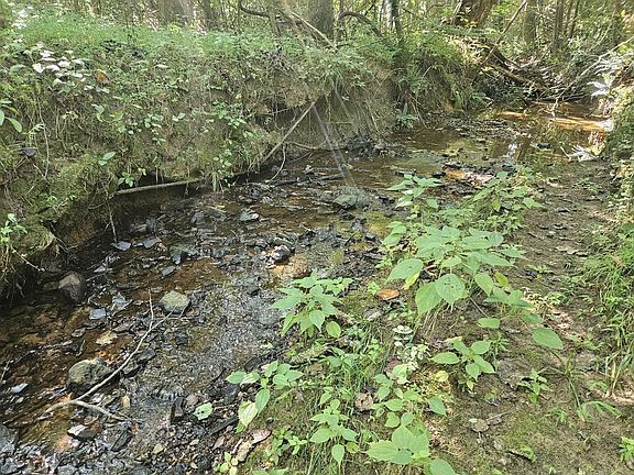 3rd image of 2695 Cane Creek Rd