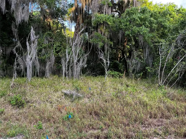 Haines Creek Rd Lot 60, Leesburg, FL 34788