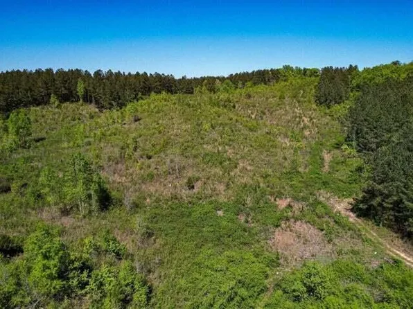 0 Sneed Rd, Decatur, TN 37322