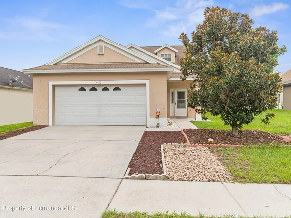 14130 Lemon Yellow Tree Ln, Brooksville, FL 34613