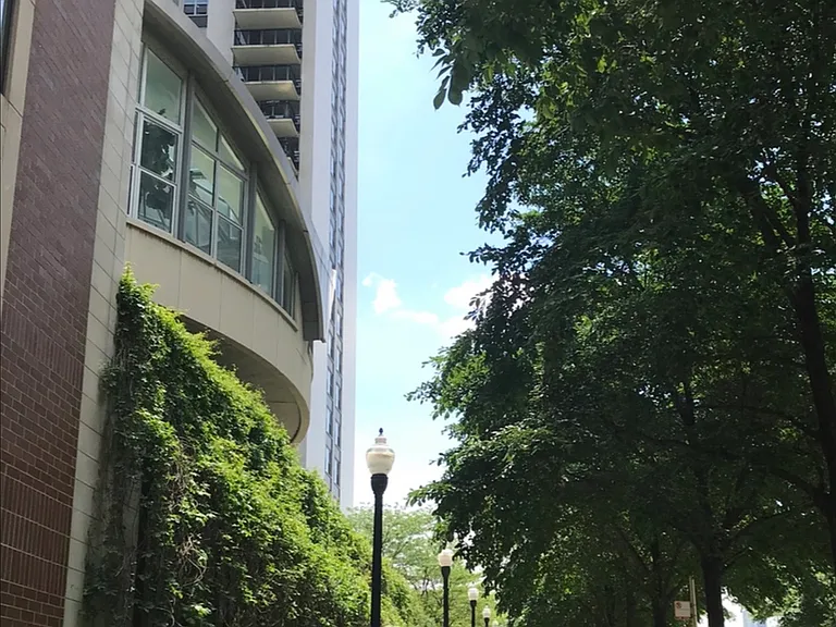 400 E Randolph St #3202 — Photo 14