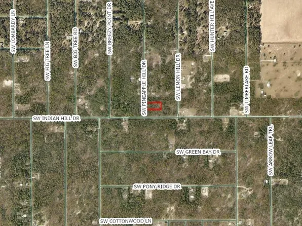 SW PINEAPPLE HILL DRIVE LOT 21, DUNNELLON, FL 34431