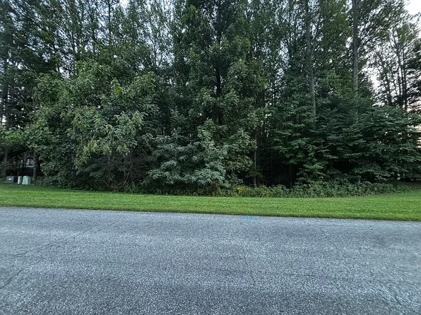 239 Elkwood Ter N, Forest, VA 24551
