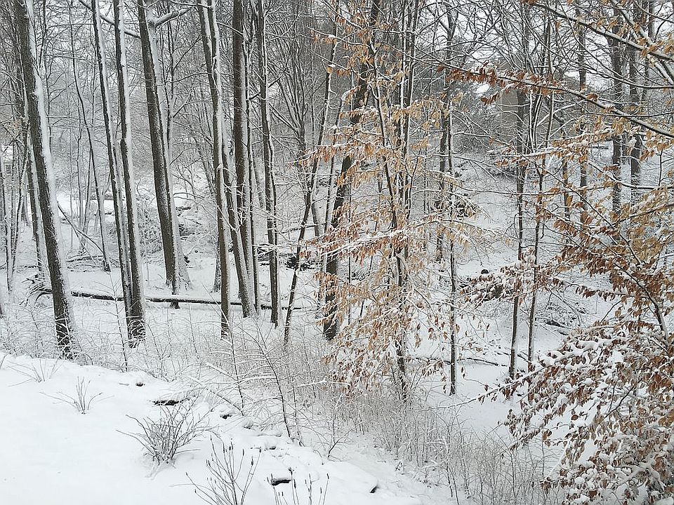 2nd image of 90 Bowman Dr