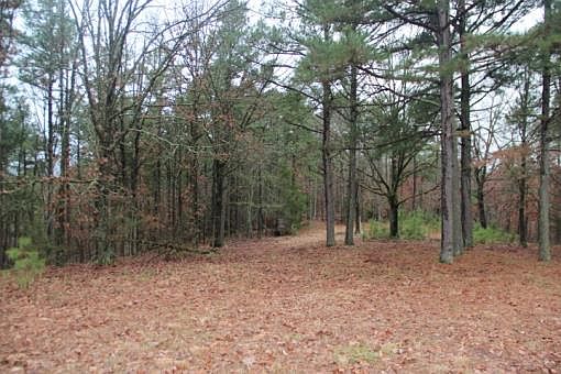 5th image of 1688 County Road 545