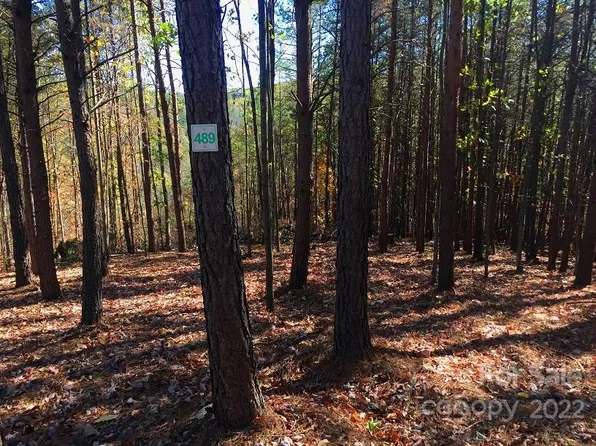 134 Bella Vista Way #489, Nebo, NC 28761