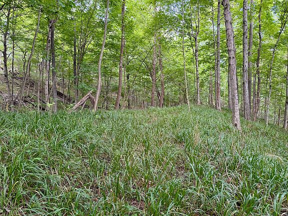 5th image of 0 Big Creek Rd