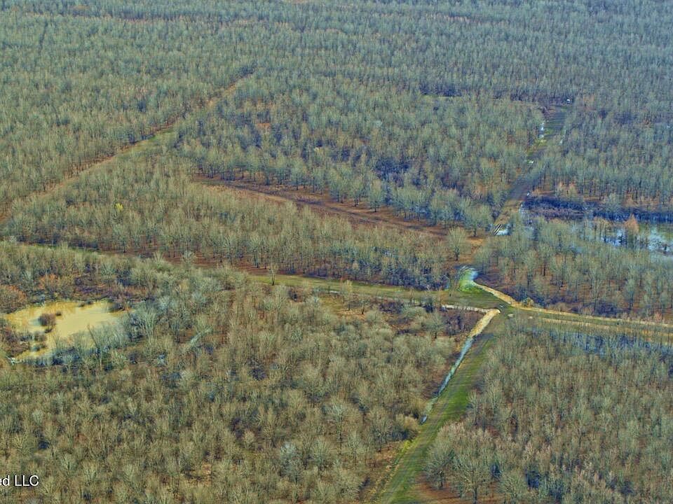 46th image of this home