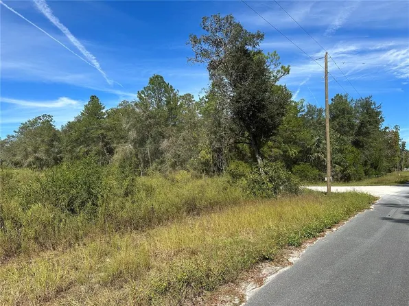 NE 92nd Ct, Bronson, FL 32621