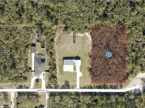 Dahlia Ct Lot 4, Eustis, FL 32736