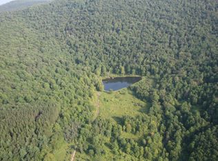 Route 206, Walton, NY 13856