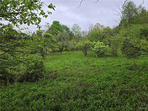 3rd image of Mead Hollow Rd