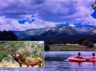 1748 Pine Lodge Rd, Capitan, NM 88316