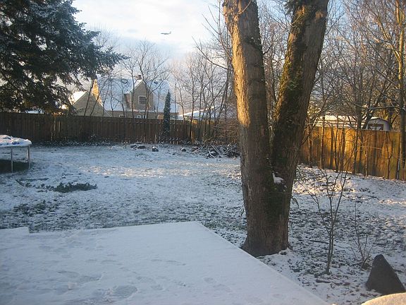 Backyard during January's snow