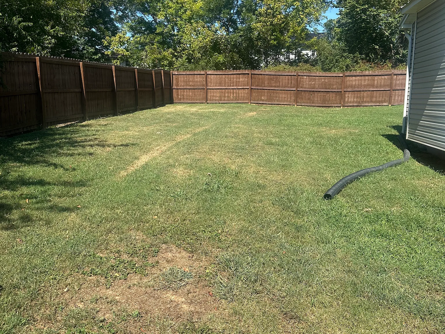 3 bed, 1200 sqft, $1,900 — Photo 3