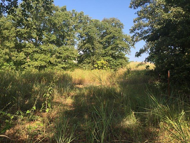 2nd image of 2633 Chickasaw Trl