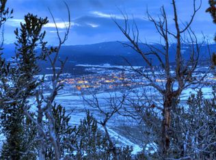 Tbd Middle Fork Vis, Fairplay, CO 80440