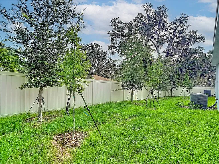 31115 Silver Stage Dr — Photo 44