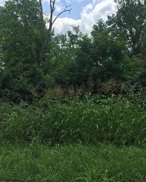 2nd image of 138 Ambernic Way Lot 25