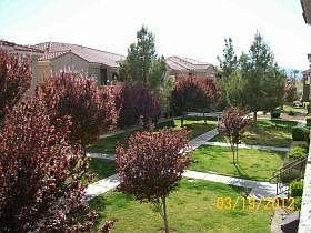 5th image of 10245 S Maryland Pkwy Unit 219