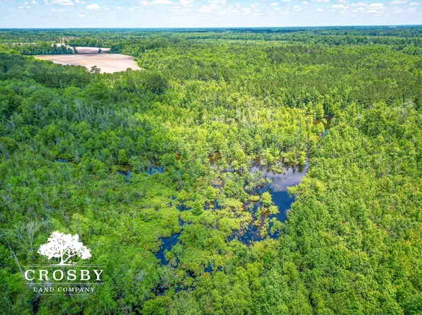 Lenards Dr, Lumberton, NC 28358