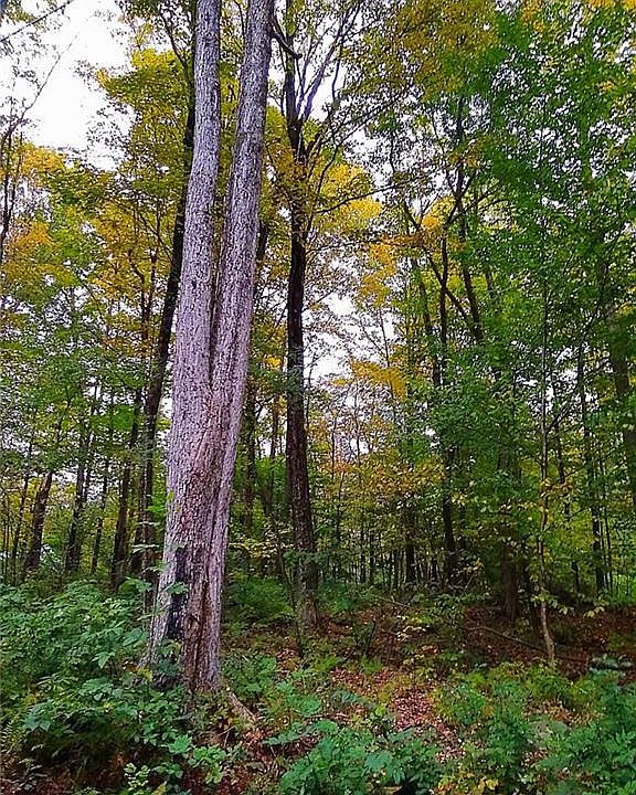 0 Pennock Brook Dr W, Orwell, NY 13426 Zillow