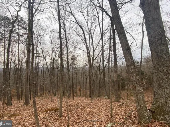 0 Turkey Ridge Rd, Castleton, VA 22716