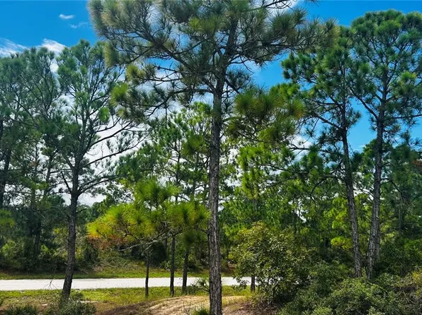 486 DREAMLAND DRIVE LOT 53, LAKE PLACID, FL 33852