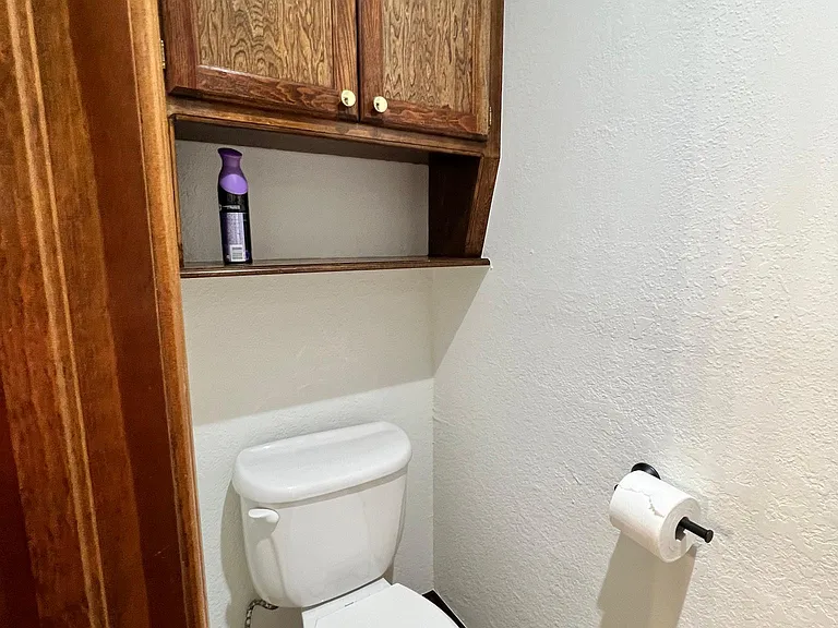 Master toilet area. Door can be closed